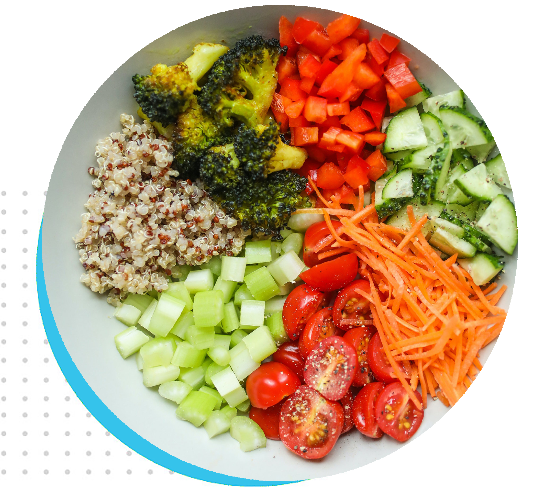 nutritionist-25-3-1pp